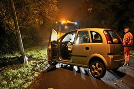 Automobilist onder invloed ramt paal langs N245