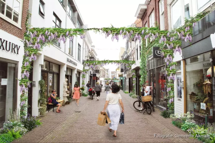 Stimuleringsfonds; jouw plan voor Alkmaar is geld waard