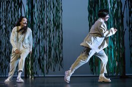 As You Like It van de Toneelmakerij en Circus Treurdier