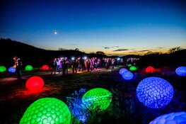 Fjoertoer Egmond uitverkocht met deelnemersrecord