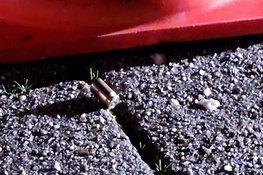 Vijf schoten op woning Alkmaar, getuigen gezocht