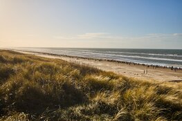 Soufiane Bouchikhi en Nienke Brinkman winnen winterklassieker NN Egmond Halve Marathon