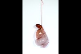 Expositie GLAS kunstuitleen Alkmaar