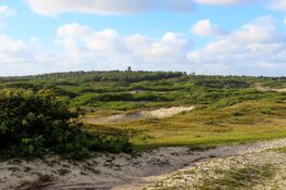 Natuur- en cultuurwandeling Bergen aan Zee