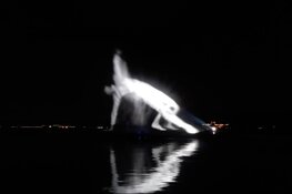 Metershoge creatie zal skyline van Alkmaar sieren!