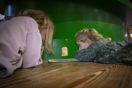 Hollands Kaasmuseum Alkmaar viert 40 jarig jubileum