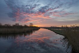 Vaarexcursie voor vroege vogels door de Eilandspolder 7 mei