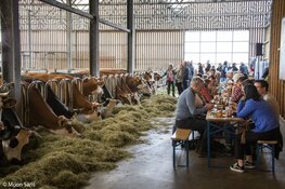 Boerenschuren vol theater: Karavaan brengt voorstellingen over actuele boerenthema`s in de Schermer