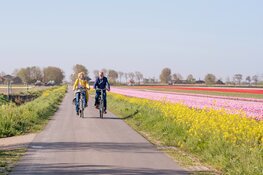 Wereld Fiets Dag: korting op fietsroutes bij Alkmaar Store