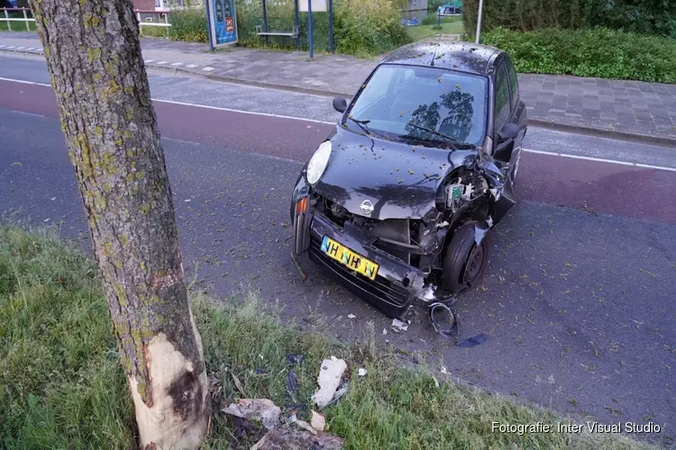 Auto knalt op boom op Willem de Zwijgerlaan, bestuurster gewond