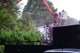 Brand in woning Oranjelaan zorgt voor flinke schade