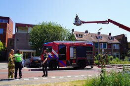 Brand aan de Frieseweg in Alkmaar