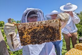 Op bezoek bij de Imkerschool/Imkerij Florensia op de natuurwijngaard van Oterleek!