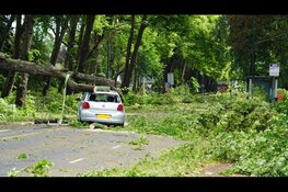 Boom valt op rijdende auto in Heiloo