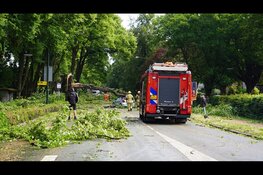 Boom valt op rijdende auto in Heiloo