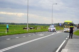 Auto zwaar beschadigd bij eenzijdig ongeval