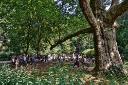 Podium onder de Boom Festival verzet door Storm