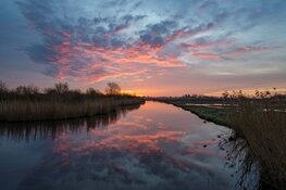 Avond vaartocht door de Eilandspolder tijdens de Nacht van de Vleermuis