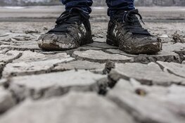 Zijn werkklompen de ideale vervanger van werkschoenen?