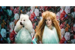 TAQA Theater De Vest viert seizoensopening met "Speelkwartier": Een hele avond gratis previews op vrijdagavond 15 september