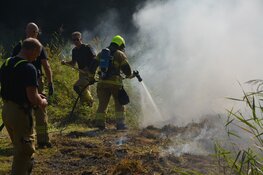 Gedroogd gras in brand in vogelbroedgebied in Alkmaar
