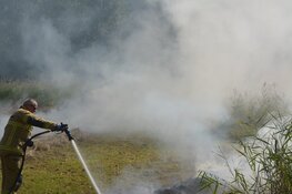 Gedroogd gras in brand in vogelbroedgebied in Alkmaar