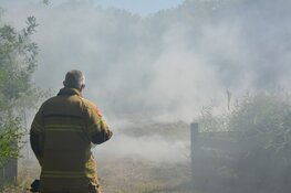 Gedroogd gras in brand in vogelbroedgebied in Alkmaar