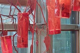 Expo `Groei` in de entree Artiance