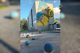 Onthulling Wereldse Bollen in Overdie