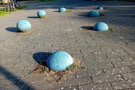 Onthulling Wereldse Bollen in Overdie