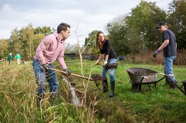 Natuurwerkdag in regio Alkmaar