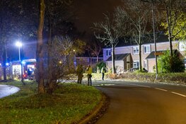 Auto vliegt uit de bocht en in brand: twee gewonden