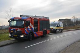 Zwaan blijkt toch niet vastgevroren te zitten