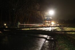 Boom blokkeert weg in Bergen, te gevaarlijk om op te ruimen
