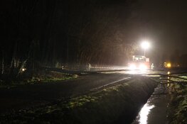 Boom blokkeert weg in Bergen, te gevaarlijk om op te ruimen