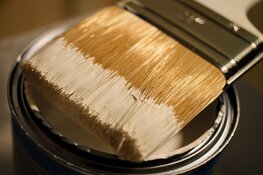 Waarom de juiste verf kiezen essentieel is