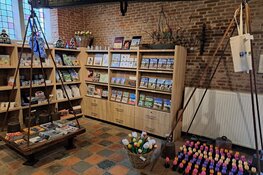 VVV De Rijp verdubbelt het aantal openingsuren