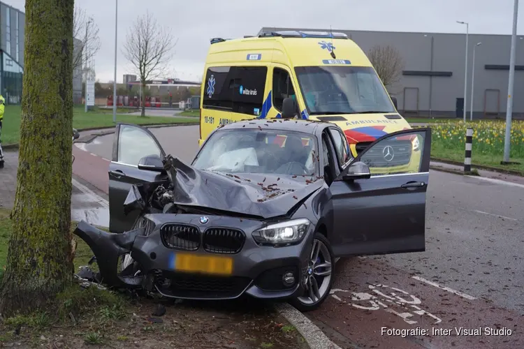 Auto botst tegen boom, twee gewonden