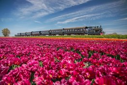 Stoomtrams vertrekken eerder naar de Tulpen