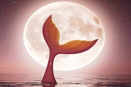 Papaver4kids speelt de voorstelling: De Parelvisser