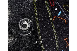 Fossil Remains van Driessens & Verstappen 7 juni t/m 8 september 2024 in de Grote Kerk Alkmaar