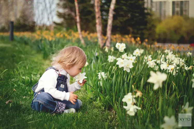 Essentiële maatregelen om kleine kinderen te beschermen