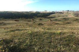 Nieuwsgierig naar de historie van Huize Glory?