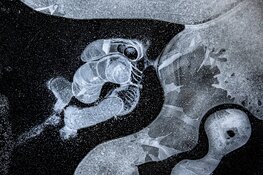 Lezing bij Fotoclub Koedijk door Rob Blanken