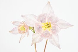 Lezing bij Fotoclub Koedijk door Rob Blanken