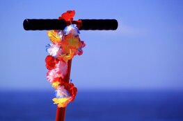 Het aloha-shirt: De geschiedenis en wereldwijde culturele reis