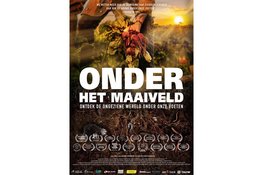 Onder het Maaiveld