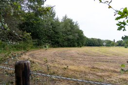 Veteranen en honden zoeken naar vermiste man (58) in Duingebied Bergen