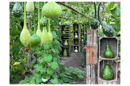 Creativiteit in de Kalebassenkas tijdens de Sfeer en inspiratiedagen