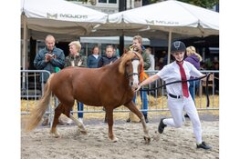 Deelname Vonk aan Landbouwdag Alkmaar